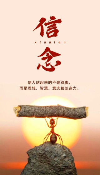 20句励志治愈文案送给你，愿你向阳生长，不负韶华～