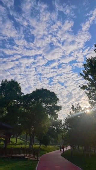 夏天的清晨