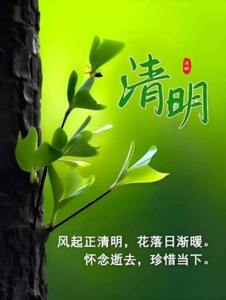 清明节悼念亲人文案