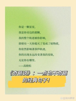 《奇葩说》里的一些经典语录