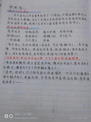 《朝花夕拾》链接阅读之《过客》好句摘抄及赏析