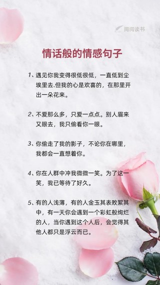 情感语录文案，情感语录，感悟人生，品味情感