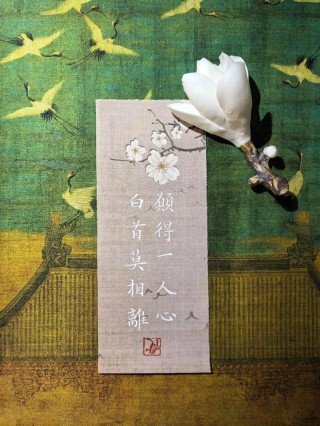 文字的魅力