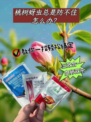 都前去消灭蚜虫 （打一字）