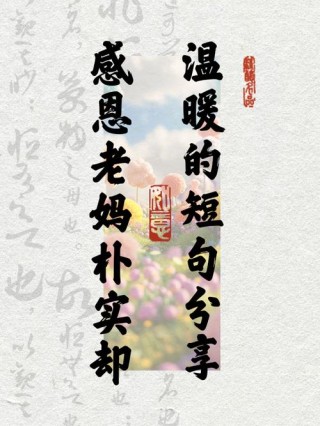 感恩节感恩母亲的唯美句子(收集80句)