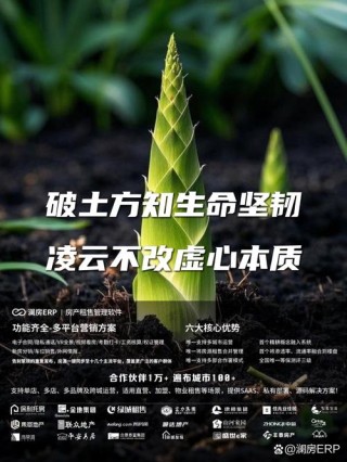 17句种子破土而出的励志名言，让你勇敢面对挑战！