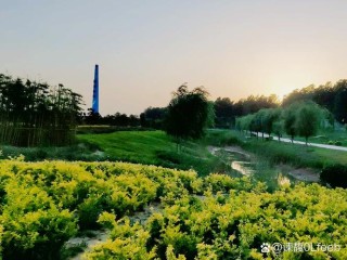 躺在时光的河流上
