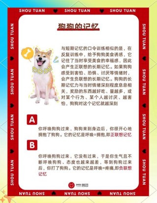 狗的趣忆