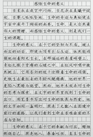 生命的旅程不允许悲伤的泛滥?励志文章