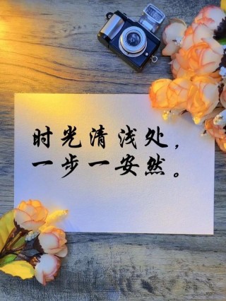 时光不待人，一步一清浅，惊艳了岁月，唯美了曾经