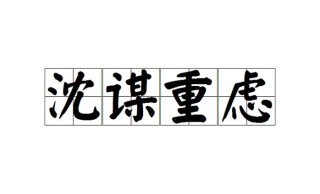 沈谋重虑[chén móu zhòng lǜ]