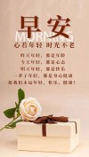 早上好！唯美舒心励志的句子，一句比一句戳心