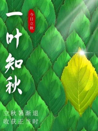 夏未尽，秋已至，一夜新凉，一骑秋风