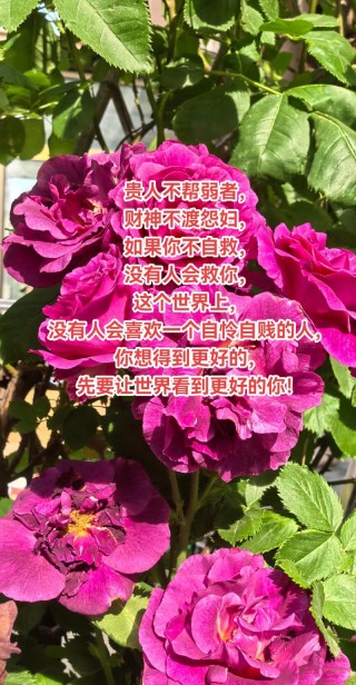 10条引人深思的短句，天助自助者，成功者自救