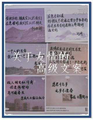 关于朋友情谊的经典句子（适合发朋友圈的文案句子）