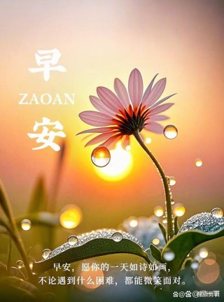 美好从晨开始
