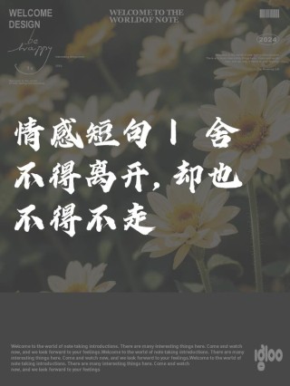 经典入心的情感语录：要走的人你留不住，不爱你的人你感动不了