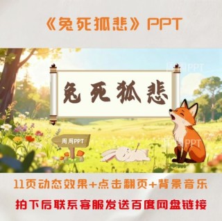 兔死狐悲