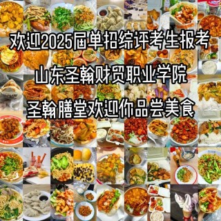 山东圣翰财贸职业学院在浙江录取分数线2025年是多少（2025~2023近三年分数位次）