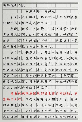 阳光高一900字作文