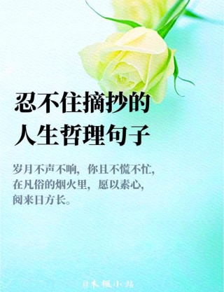 名言名句大全人生哲理，人生哲理名言名句大全