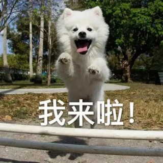 我来了