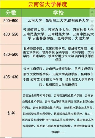 云南高考排名59000-60000位次能上什么大学（2026历史类）