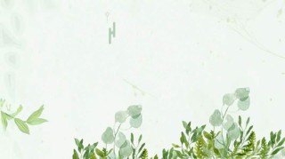 ​珍惜姐妹情的唯美句子