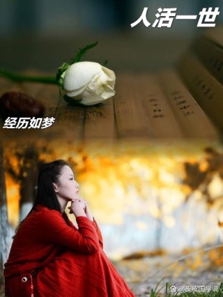 生活的苦我经历了很多，现在只想岁月静好