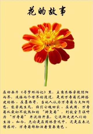 花朵怎会如此暴戾？