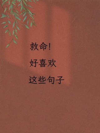 很火的短句，火爆金句，引人注目的短句