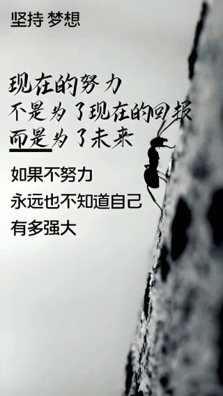 励志文章：我们最难超越的是自己