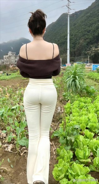 老家的背影