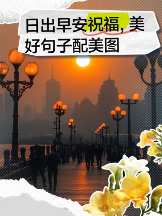 早上阳光明媚的句子，晨光中的诗意时刻