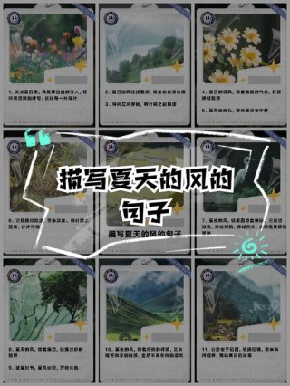 和煦的糖果风，拂过一季清凉