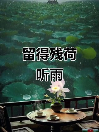 在人间，落雨听禅