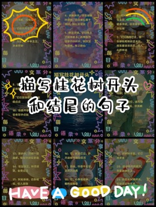 文案｜关于「桂花」的绝美描述句子