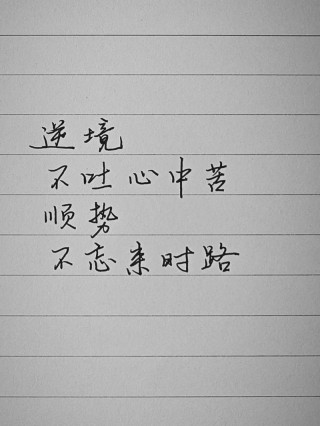 逆境中砥砺前行的诗句，逆境砥砺前行，诗篇铸就坚韧