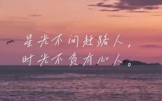 星光不问赶路人，时光不负有心人