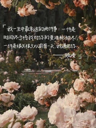 慢慢来，都在路上