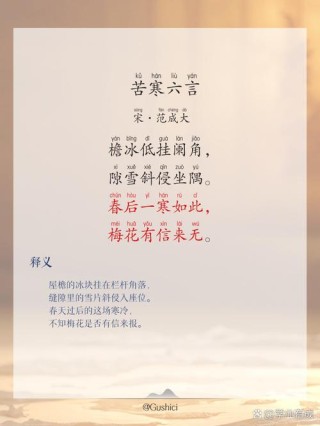 浅冬漠漠寒，红尘淡淡暖。愿余生安暖，不负华年