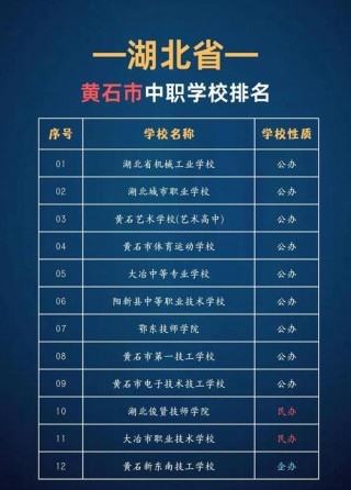 黄石有哪些职业技术学院