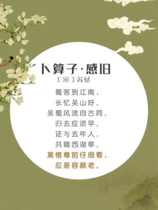 卜算子   有感