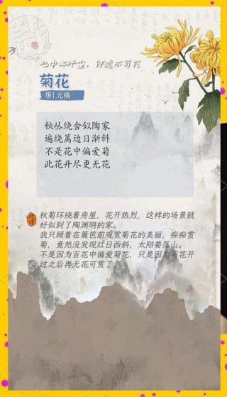 15首经典唯美菊花诗词，你会背几首
