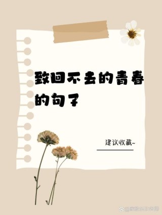 愿你走出半生，归来仍是少年|那些青春怀念的句子
