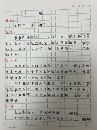作文素材：描写下雨的优美句子