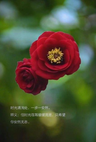 浅笑淡然，安然于心