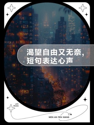 抓不住的自由