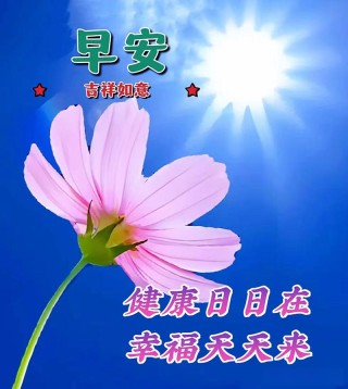 最新早上好唯美问候免打字漂亮图片带字创意早安句子