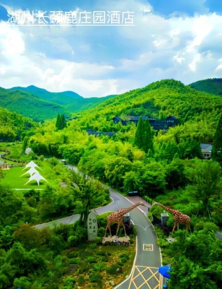 寻访湖州生态